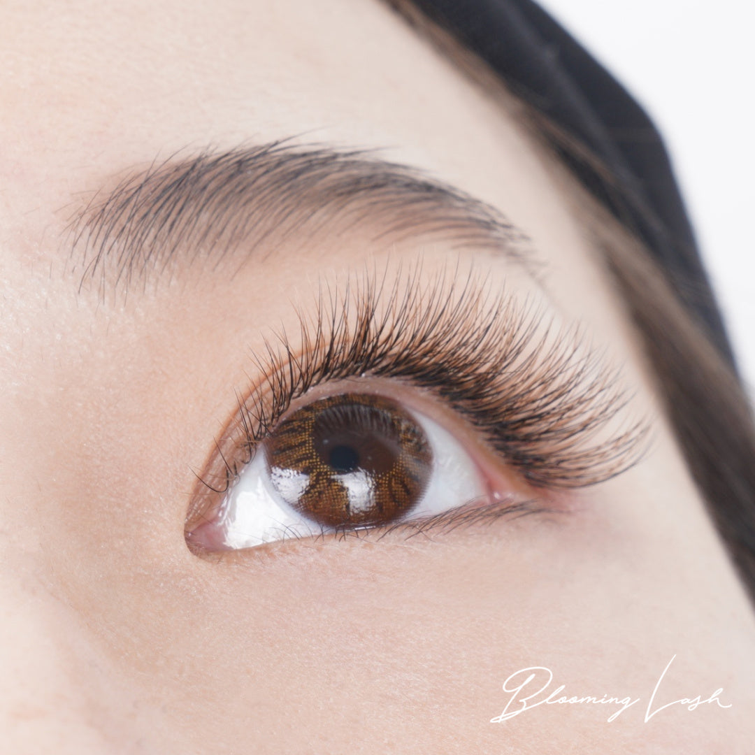 Blooming Lash [Upper lashes only] SHIHO Sensei individual seminar (in person or online)