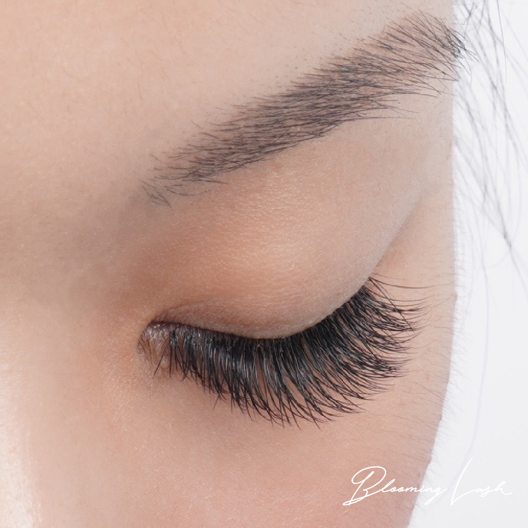 Blooming Lash [Upper lashes only] SHIHO Sensei individual seminar (in person or online)