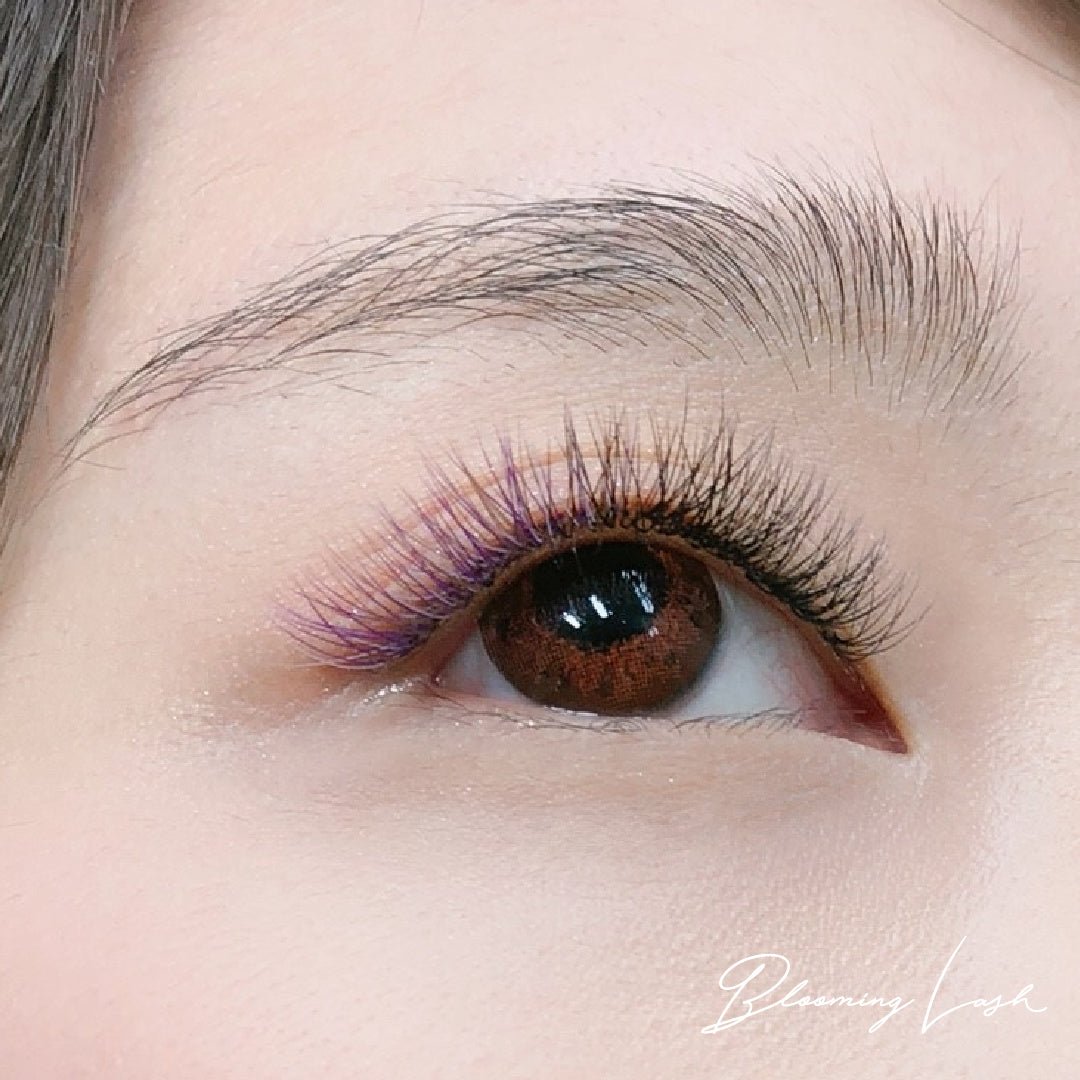 Blooming Lash [Upper lashes only] SHIHO Sensei individual seminar (in person or online)