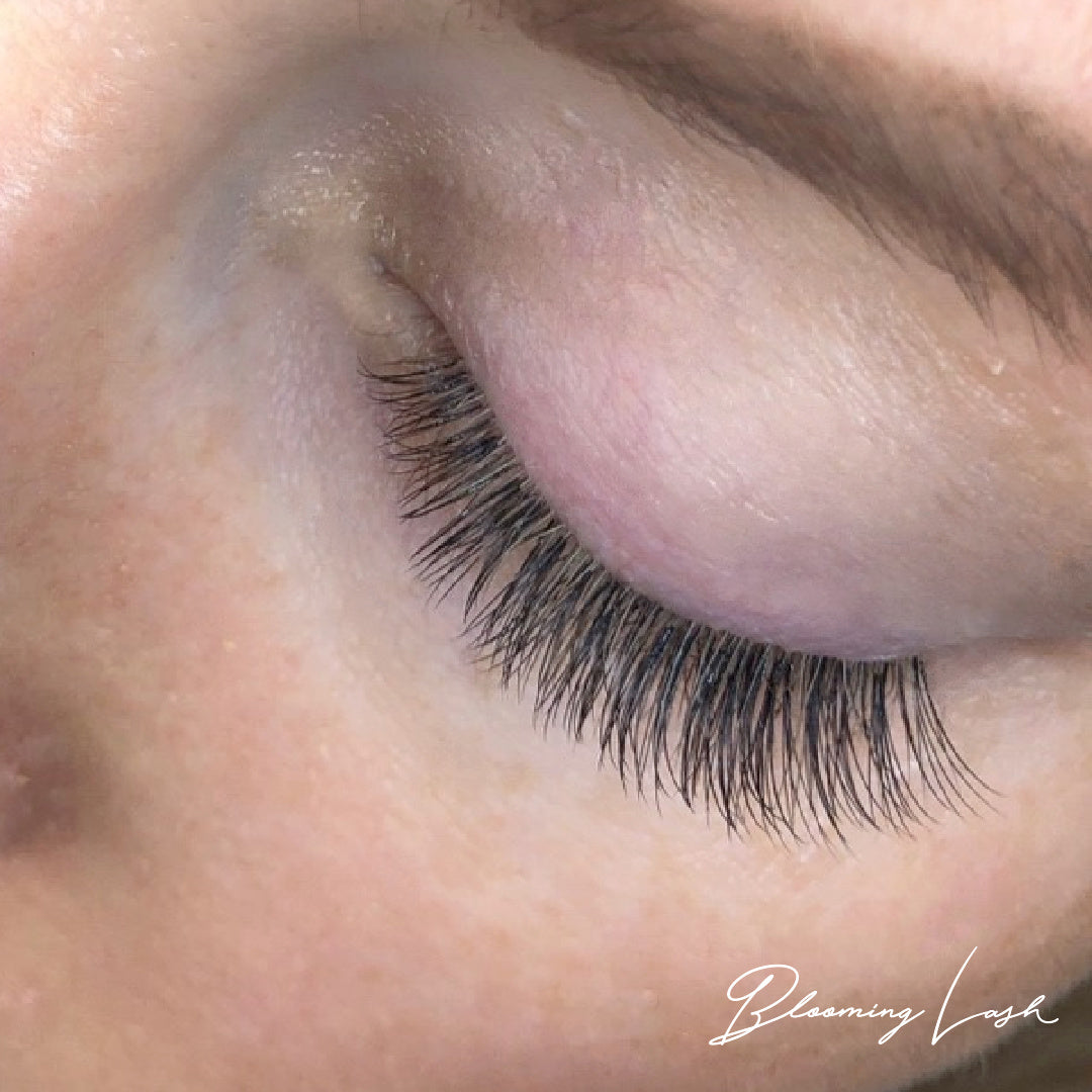 Blooming Lash [Upper lashes only] SHIHO Sensei individual seminar (in person or online)